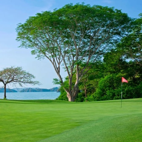 Golf Course